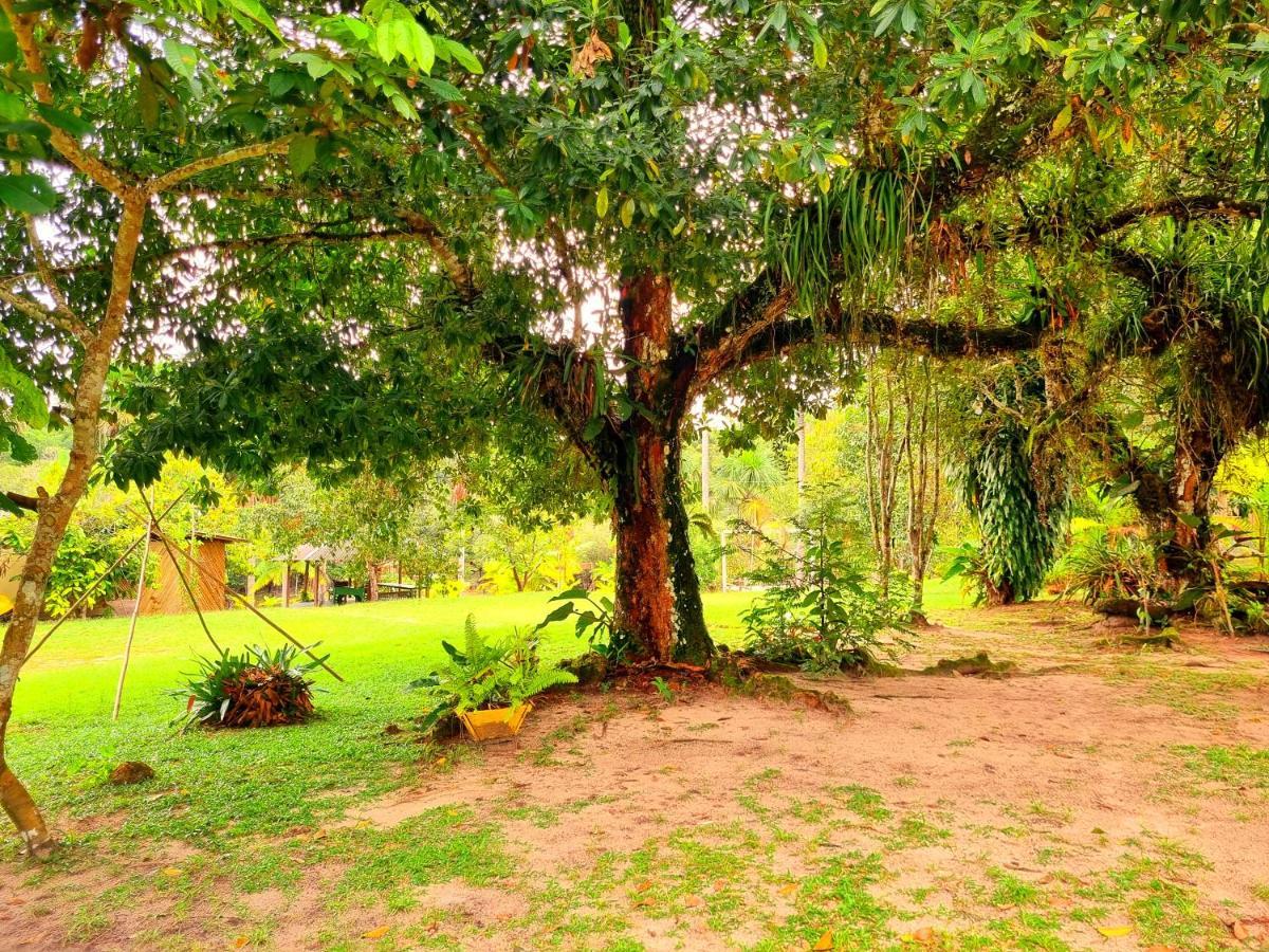 Ponta Poranga Jungle Lodge Manaus Kültér fotó