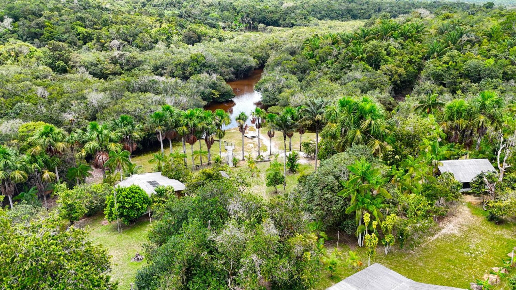 Ponta Poranga Jungle Lodge Manaus Kültér fotó