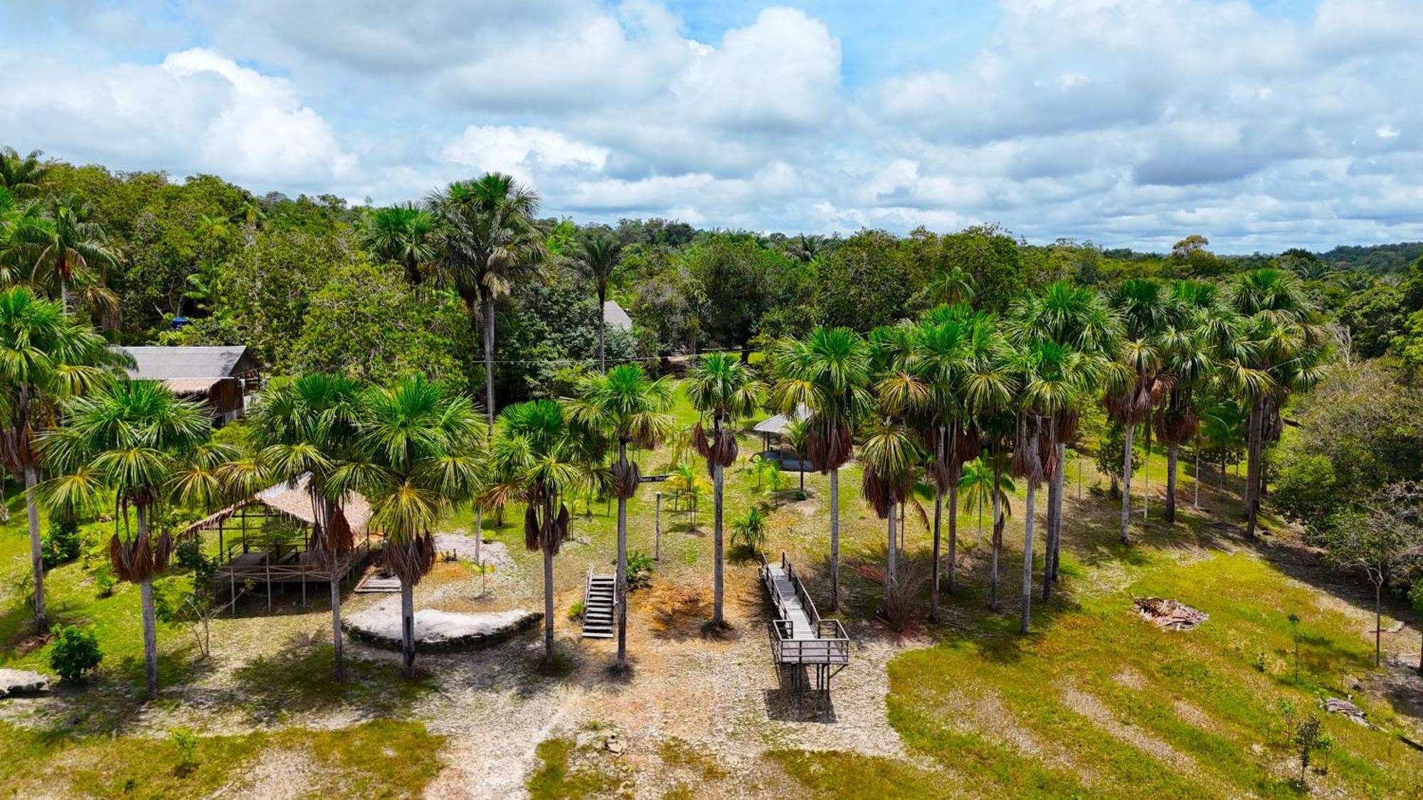 Ponta Poranga Jungle Lodge Manaus Kültér fotó