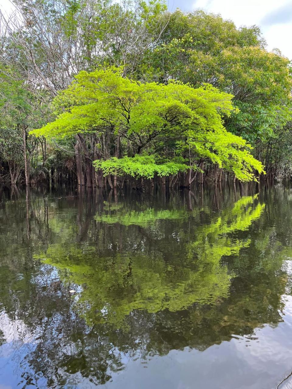 Ponta Poranga Jungle Lodge Manaus Kültér fotó