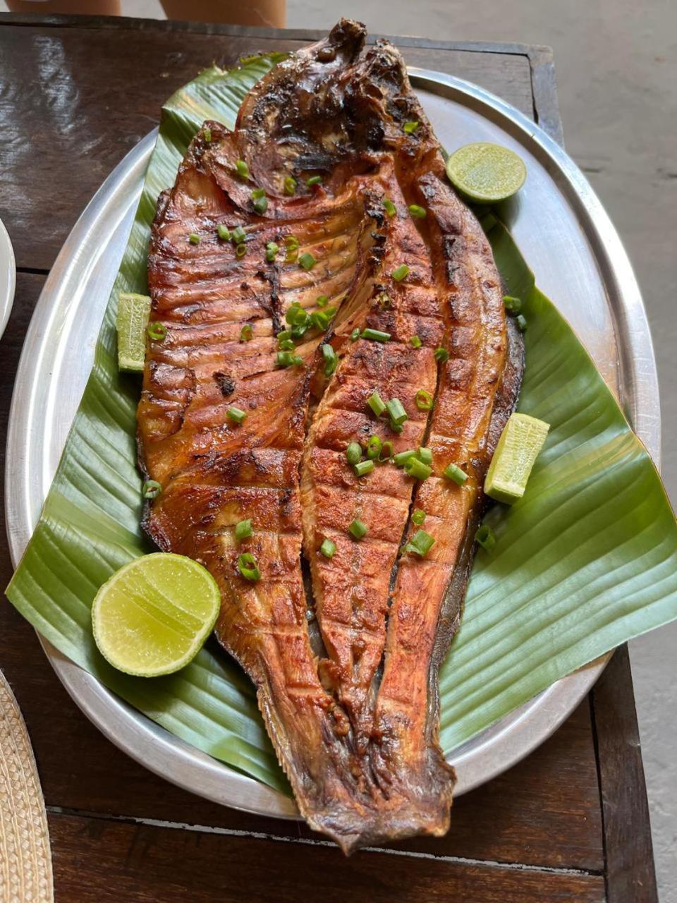 Ponta Poranga Jungle Lodge Manaus Kültér fotó